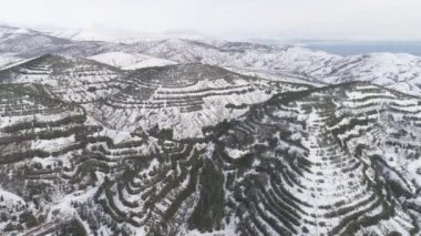 Hava karlı dağın tepesinden kışın ortasında pines. Vurdu. Zengin Kış ruhu