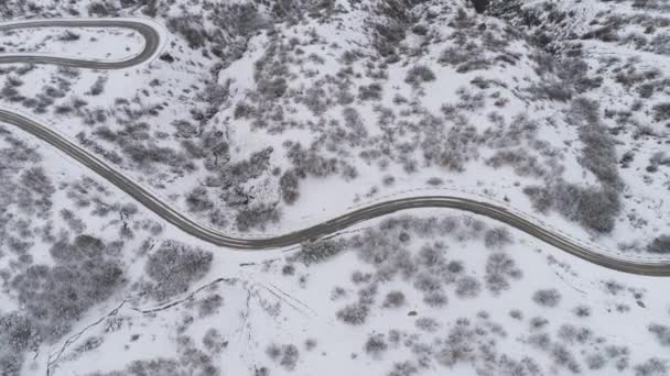 Top aerial view of snow mountain landscape with trees and road. Shot. Top view of the road in snowy forest — Stock Video