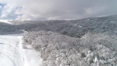 «Ana sayfa» görünümü güzel kış orman. Vurdu. Kış manzarası. Karlı kış orman.