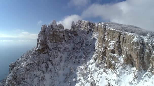 Picos de montaña y bosques paisajísticos. Le dispararon. Vista superior de las montañas nevadas en el bosque — Vídeos de Stock