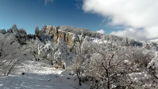 Berggipfel und Waldlandschaft. Schuss. Blick von oben auf die schneebedeckten Berge im Wald — Stockvideo