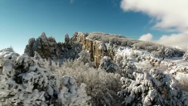 Téli nyugodt hegyi táj fák gyönyörű fagyosan. Lövés. A dombos táj a téli felülnézet — Stock videók