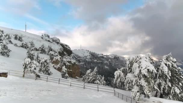 Вид зверху на засніжений гірський пейзаж у лісі. Постріл. Красивий зимовий пейзаж з лісом вкритий снігом, горизонтальний зимовий відкритий — стокове відео