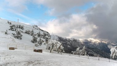 Karlı dağ manzarası ormandaki en iyi görünümü. Vurdu. Güzel kış manzara ormanla kaplı kar ile yatay kış açık