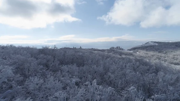 Pics de montagne et paysages forestiers. Fusillade. Vue de dessus des montagnes enneigées en forêt — Photo