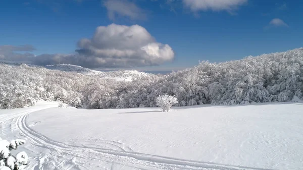 Vue de dessus de la forêt en hiver. Fusillade. Vue de dessus des arbres forestiers enneigés. Paysage hivernal dans la forêt. Forêt gelée. Nature — Photo