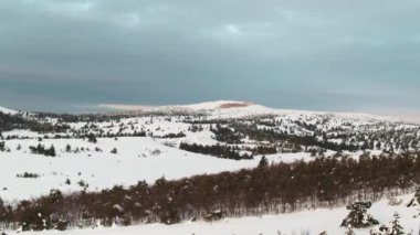 Hava karlı dağın tepesinden kışın ortasında pines. Vurdu. Zengin Kış ruhu