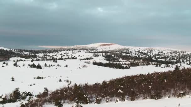 Aérea desde la cima de los pinos nevados de montaña en medio del invierno. Le dispararon. Rico espíritu invernal — Vídeo de stock