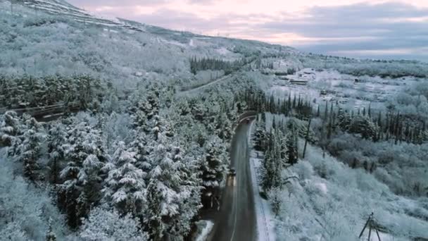 雪に覆われた森の空中と冬の道路上の移動車。ショット。曇り空を背景に移動中の車両と冬の森を通る道路の航空写真. — ストック動画