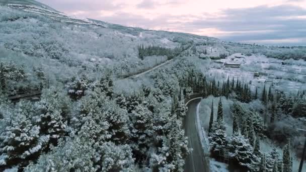 雪に覆われた森の空中と冬の道路上の移動車。ショット。曇り空を背景に移動中の車両と冬の森を通る道路の航空写真. — ストック動画