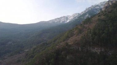 Üstten görünüm yüksek Dağı. Vurdu. Yüksek dağın inanılmaz hava görünümünü orman üst karla kaplı