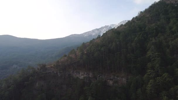 Blick von oben auf den hohen Berg. Schuss. Unglaubliche Luftaufnahme des Hochgebirges mit Wald und Schnee auf der Spitze — Stockvideo