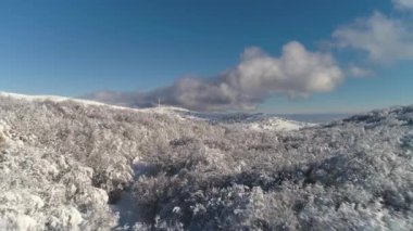 Kış orman havadan görünümü parlak, mavi, bulutlu gökyüzü karşı kuş uçuş yükseklikleri üzerinde. Vurdu. Karlı kış, güneşli gün ormanda güzel manzara.