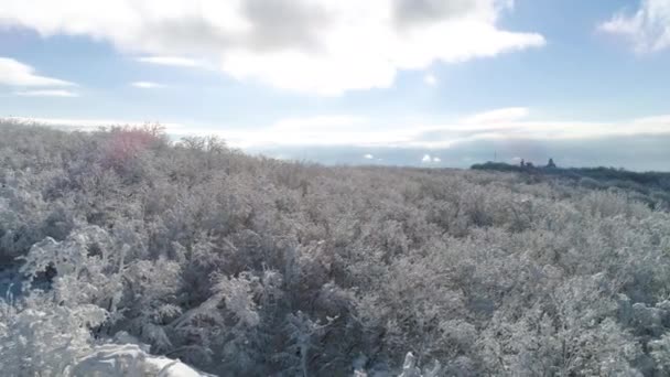 La vista aerea di foresta invernale su altezze del volo di uccelli contro cielo lucente, azzurro, nuvoloso. Gli hanno sparato. Bellissimo paesaggio della foresta innevata in inverno, giornata di sole . — Video Stock