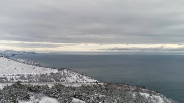 Beautiful winter seascape with snowy fields, forest and blue sea on grey, cloudy sky background. Shot. Aerial for winter coastline with snowy trees and fields. — Stock Video
