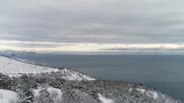 Mooie winter zeegezicht met besneeuwde velden, bos en blauwe zee op de grijze, bewolkte hemelachtergrond. Schot. Antenne voor winter kustlijn met besneeuwde bomen en velden. — Stockvideo