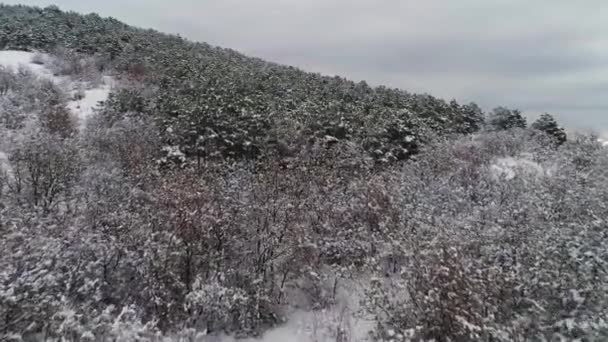 Paysage forestier hivernal aérien sur fond gris ciel nuageux. Fusillade. Arbres blancs avec neige, vue d'en haut .