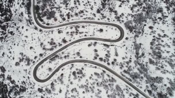 Top aerial view of snow mountain landscape with trees, road and blue sea shore. Shot. Beautiful landscape of the winter road in snowy fields near coastline. — Stock Video