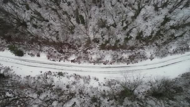 Antenna az erdő borítja hó és a tél road, madártávlatból szemmel. Lövés. Felülnézet, ország út megy keresztül a szép hó borított táj. — Stock videók
