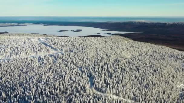 Vista panorâmica aérea da floresta coberta de neve, lago congelado e mar azul. Filmagem. Belos picos de árvores nevadas no fundo do céu claro, natureza de inverno ensolarada de uma visão de olhos de pássaros . — Vídeo de Stock