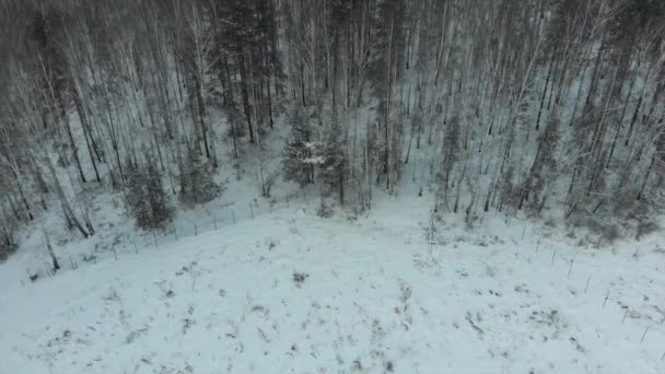 Luchtfoto van park gebied in de buurt van het bos in de winter met besneeuwde bomen. Voorraad. Winterlandschap — Stockvideo