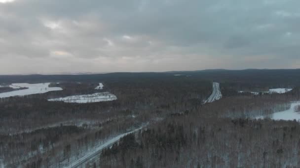 Vista aérea da trilha do país dividindo a floresta nevada contra o céu nublado cinza. Estoque. Paisagem inverno — Vídeo de Stock