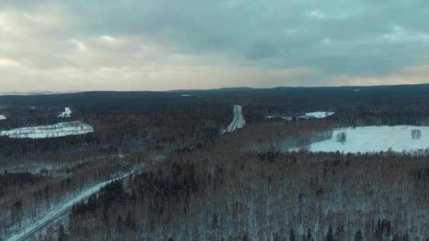 Luftaufnahme eines Feldweges, der verschneiten Wald gegen grauen bewölkten Himmel teilt. Aktien. Winterlandschaft — Stockvideo