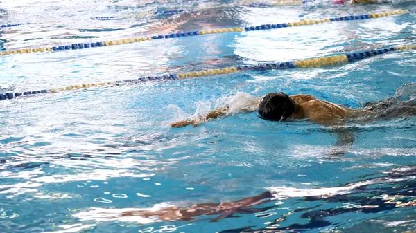 Man Swimming in Pool. Fit young male swimmer training in the pool. Young man swimming the front crawl in a pool. Young male athlete swimming freestyle in pool during competition