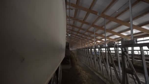 Close-up da máquina de alimentação na fazenda. Filmagem. Camião de alimentação descarrega ração de gado no celeiro. Tecnologias de agricultura e pecuária — Vídeo de Stock