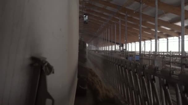 Close-up da máquina de alimentação na fazenda. Filmagem. Camião de alimentação descarrega ração de gado no celeiro. Tecnologias de agricultura e pecuária — Vídeo de Stock