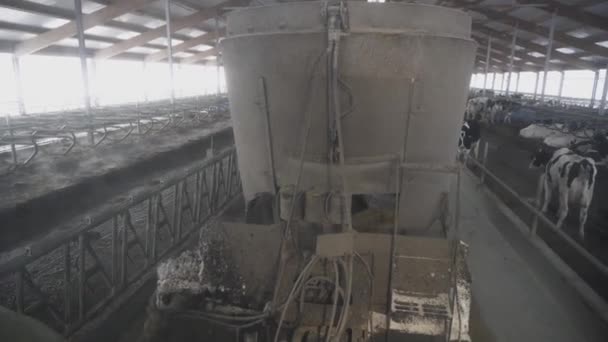 Feed distributor machine. Footage. Machine mixes feed and pours it on go at cow stall in barn. Agricultural machinery on farm. Technology feeding cows — Stock Video