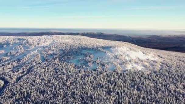 Вид зверху на вершину пагорба вкритий снігом. Кадри. Зимовий пейзаж гірської місцевості з густим хвойним лісом, вкритим снігом і туманним горизонтом з блакитним небом — стокове відео