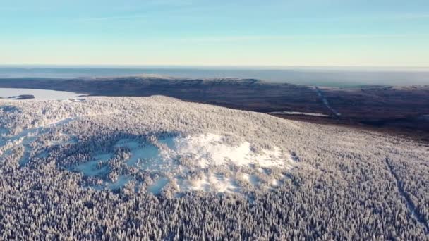 Top view of hilltop covered with snow. Footage. Winter landscape of mountain area with dense coniferous forest covered with snow and foggy horizon with blue sky — Stock Video