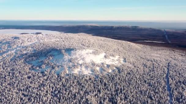 Vista dall'alto della collina coperta di neve. Un filmato. Paesaggio invernale di montagna con fitta foresta di conifere ricoperta di neve e orizzonte nebbioso con cielo blu — Video Stock