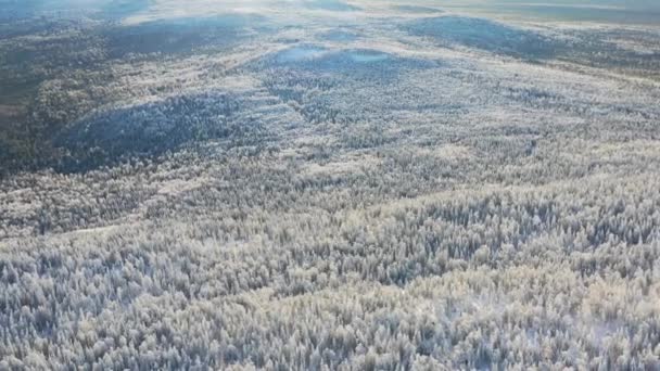 Vista superior de las tierras altas con bosque de coníferas en invierno. Filmación. Hermoso panorama de bosque denso de coníferas cubierto de nieve con tierras altas en un día soleado y claro. Invierno belleza de la naturaleza — Vídeos de Stock