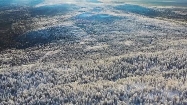 冬の雪の空撮は、晴れた日、大河、シベリアの森林を覆われています。映像。青い空を背景に冬の松の木のパノラマ ビュー. — ストック動画