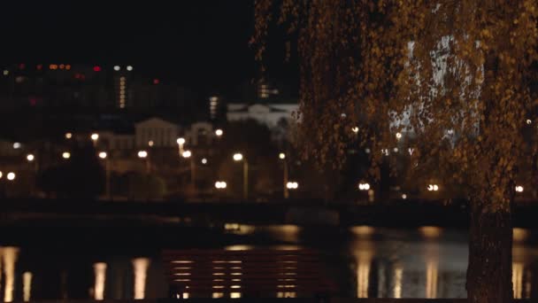 Éjszakai város alley lámpák és az őszi fák. Üres pad áll, ősszel sárga nyír, háttérben az éjszakai város fényei tükrözi a víz mellett — Stock videók
