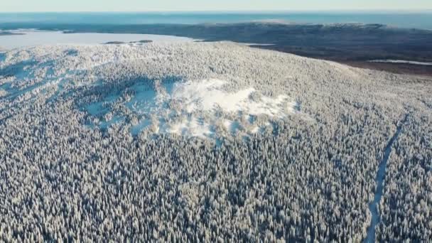 Vista aérea da floresta de inverno e pequena parcela coberta de neve. Filmagem. Linda paisagem de inverno — Vídeo de Stock