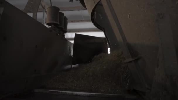 Primo piano delle macchine agricole per l'alimentazione degli animali, agricoltura. concetto. Un filmato. Distributore di foraggi in un fienile in fase di lavorazione . — Video Stock