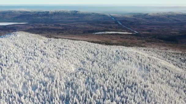Luchtfoto van winter bos en bergen tegen blauwe hemel. Beeldmateriaal. Winterlandschap — Stockvideo