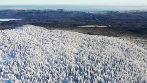 Vista aérea en una ladera de montaña y pista de esquí rodeada de árboles de coníferas congeladas en invierno contra el cielo azul. Filmación. Paisaje invierno — Vídeos de Stock