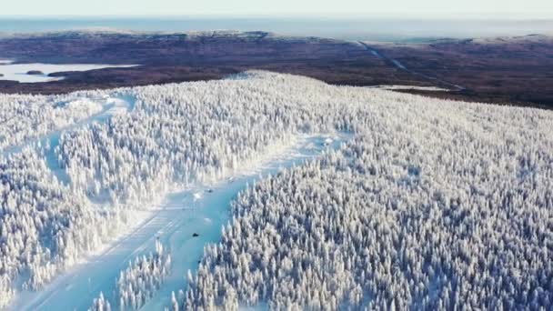 Widok z lotu ptaka na torze stoku i ski mountain otoczony mrożone drzew iglastych zimą przeciw błękitne niebo. Materiał filmowy. Pejzaż zimowy — Wideo stockowe