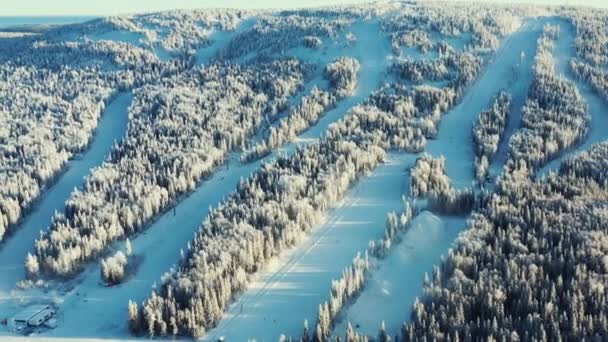 Luftaufnahme des gefrorenen Waldes im Winter und der Skipisten vor blauem Himmel. Filmmaterial. schöne Winterlandschaft — Stockvideo