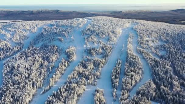 Vista del bosque congelado y pistas de esquí contra el cielo azul. Filmación. Hermoso paisaje de invierno — Vídeos de Stock