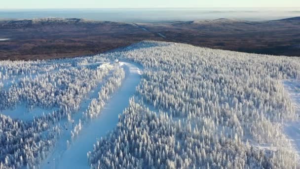 Flygfoto över vintern skog och linbanan stugor mot blå himmel. Footage. Utomhussporter — Stockvideo