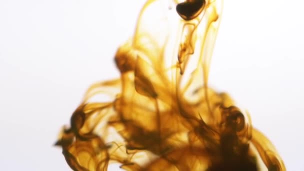 Närbild av brun färg bläck blandning i vatten textur på en vit bakgrund. Abstrakt bakgrund. — Stockvideo