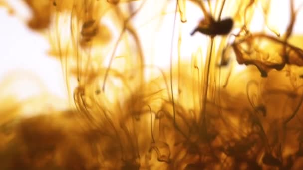 Nahaufnahme Von Braunem Jet Aquarell Das Wassertextur Auf Weißem Hintergrund — Stockvideo