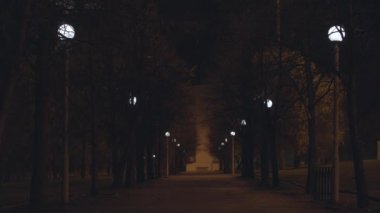 Sonbahar sokakta ağaçlar ve sokak gece parkta. Güzel bir şehir manzarası.