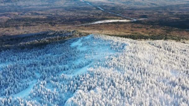 Luchtfoto van het bos van de winter gedeeltelijk gedekt door de sneeuw en de snelweg. Prachtig uitzicht van bovenaf. — Stockvideo