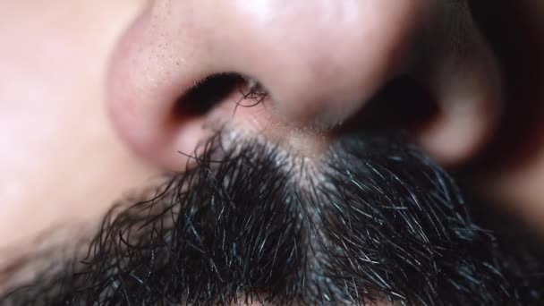 Närbild Mänskliga Manliga Näsan Och Svarta Mustascher Människor Ansikte — Stockvideo